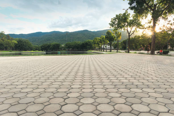 Best Driveway Paving Contractor  in Winterville, NC