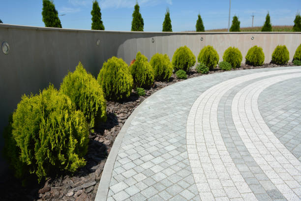 Reasons to Select Us for Your Driveway Paving Requirements in Winterville, NC